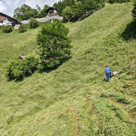 Notlehenhof *